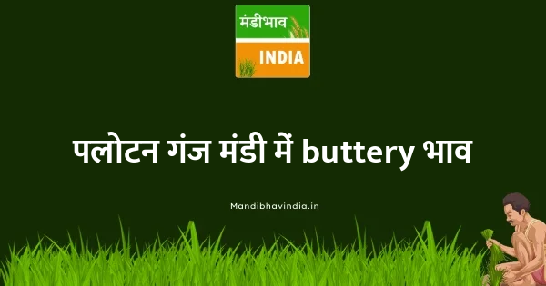 buttery भाव